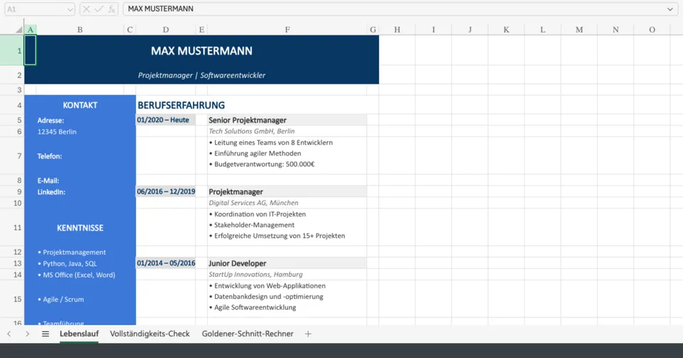 Vorschau von lebenslauf_excel_vorlage_2026.xlsx